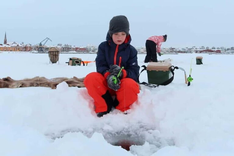 Lulea: Ice Fishing Tour in the heart of the city with Guide - Value and Pricing