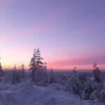 Luleå: snowshoeing in pristine nature with an expert guide! - Discovering Luleå’s Winter Wonderland