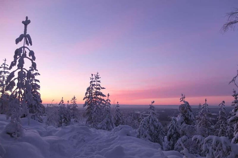 Luleå: snowshoeing in pristine nature with an expert guide! - Discovering Luleå’s Winter Wonderland