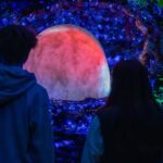 LUMA Enchanted Whimsical Sensory night walk - Who Will Love This Tour?