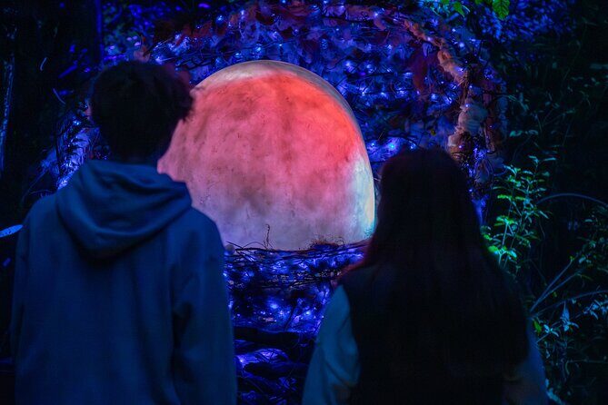 LUMA Enchanted Whimsical Sensory night walk - Who Will Love This Tour?