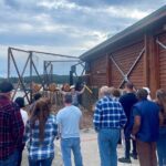 Lumberjack Show and Axe Throw Challenge - Practical Details