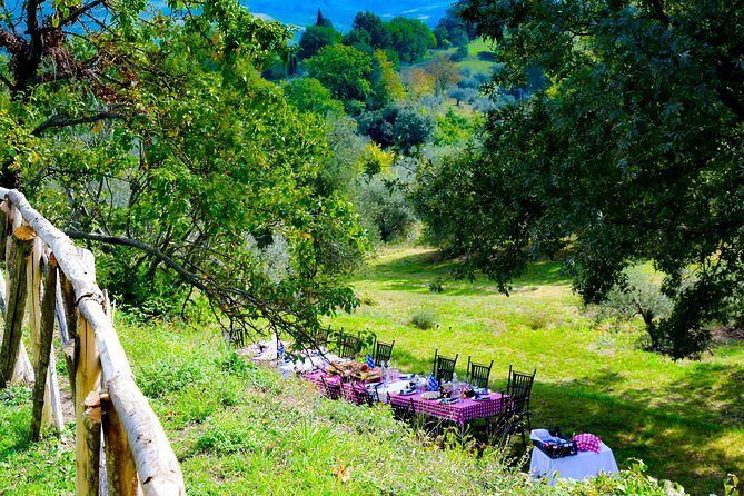 Lunch in the Olive Grove - A Closer Look at the Olive Grove Lunch Experience