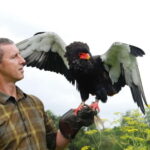 Lunch & Nature experience at Cumberland Bird of Prey Centre - FAQ
