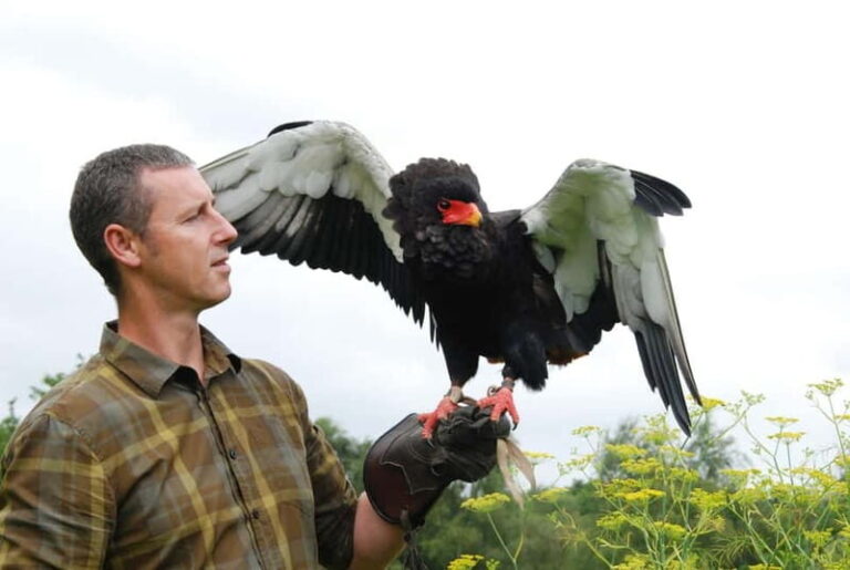 Lunch & Nature experience at Cumberland Bird of Prey Centre - FAQ