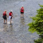 Lunenburg: Zodiac Wildlife Tour with Naturalist Guide - Practical Details and Logistics