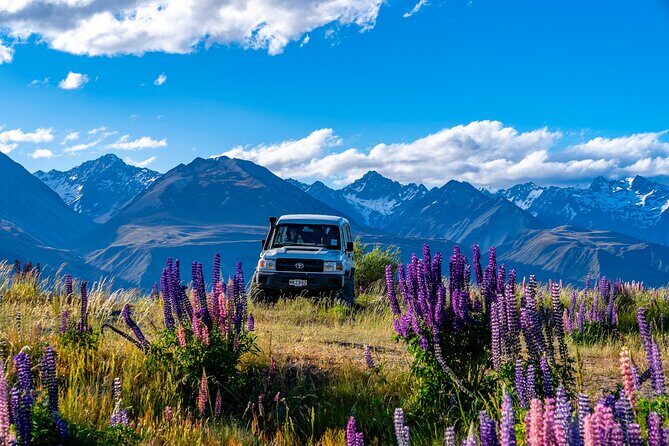 Lupin Flowers Tour Lake Tekapo - Frequently Asked Questions