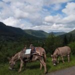 Luvigny: An unusual forest escape with a donkey - Why This Tour Offers Genuine Value