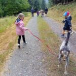 Luvigny: an unusual getaway with donkeys and goats - Who Should Consider This Tour?