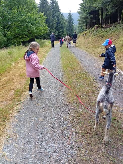 Luvigny: an unusual getaway with donkeys and goats - Who Should Consider This Tour?