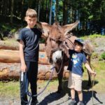 Luvigny: Donkey discovery walk - An In-Depth Look at the Donkey Discovery Walk