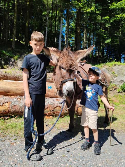 Luvigny: Donkey discovery walk - An In-Depth Look at the Donkey Discovery Walk