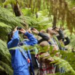 Luxe Bus Great Ocean Road Coastal Spectacular - Exploring the Itinerary in Detail
