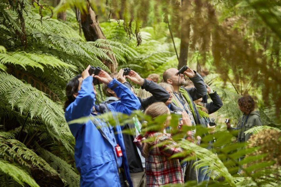 Luxe Bus Great Ocean Road Coastal Spectacular - Exploring the Itinerary in Detail