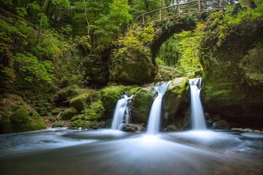 Luxembourg: Nature, History and Castles Full-Day Tour - What Makes This Tour Stand Out?