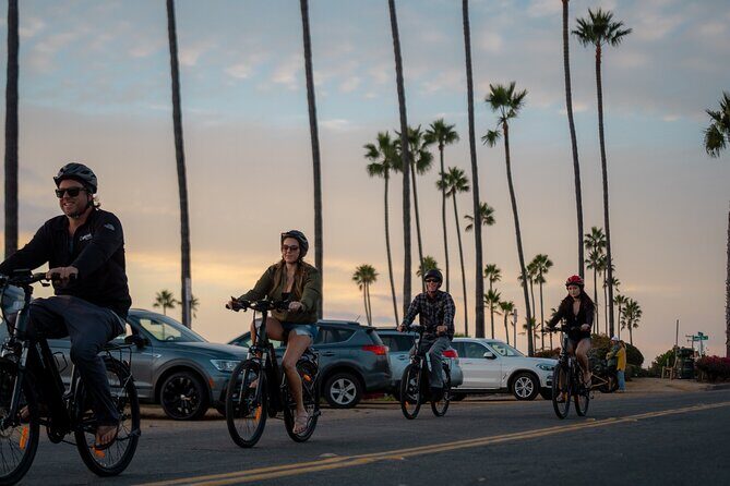 Luxurious Guided Electric Bike Tour to Torrey Pines - The Sum Up