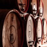 Luxurious Wine Experience: Savor Venetian Best Vineyards - Who Should Consider This Tour?
