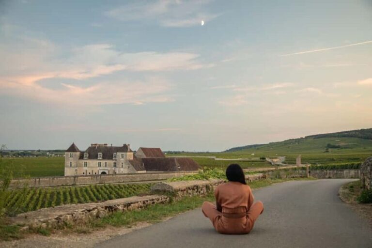 Luxury Burgundy Private Wine Tour - Why This Tour Offers Great Value