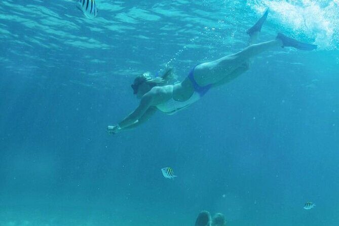 Luxury Catamaran Tour to Isla Mujeres with Transportation - Potential Considerations