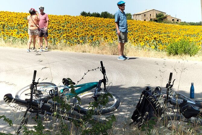 Luxury Eno and Oil experience, by e-bike and more... - The Value of This Experience