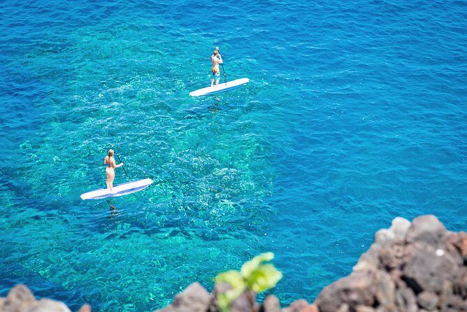 Luxury Kona Coast Snorkel Tour Including Lunch - The Heart of the Experience: What to Expect