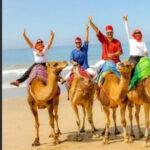 Luxury Private Tangier Tour from Cadiz all inclusive - What Makes This Tour Stand Out