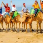 Luxury Private Tangier Tour from Malaga all inclusive - An In-Depth Look at the Luxury Tangier Tour