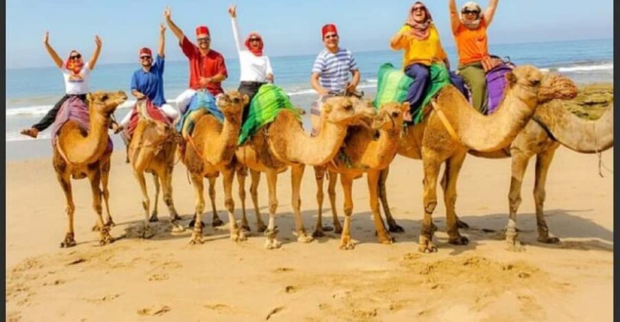 Luxury Private Tangier Tour from Malaga all inclusive - An In-Depth Look at the Luxury Tangier Tour