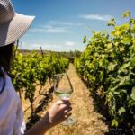 LUXURY PRIVATE Wine Tasting in CRETE (also for CRUISE SHIPS) - Exploring the Experience in Detail