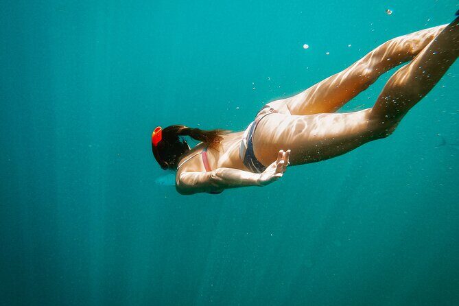 Luxury Snorkel Adventure in Cabo - The Real Value for Travelers