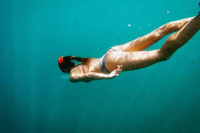 Luxury Snorkeling Tour in Cabo San Lucas - Final Thoughts: Is This Tour Right for You?