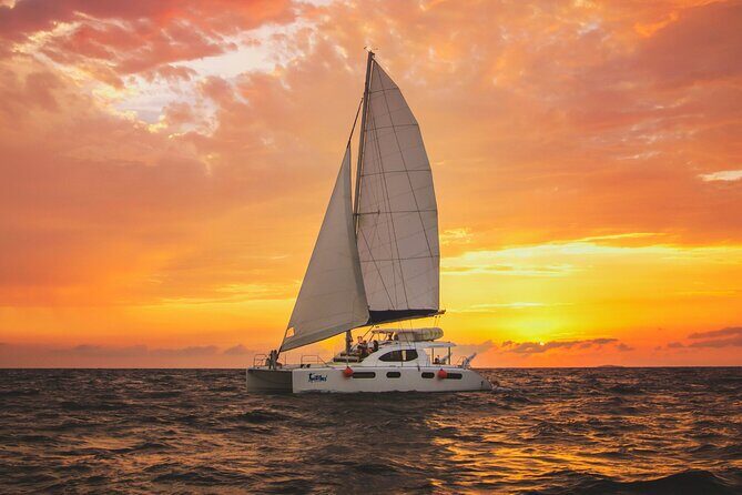 Luxury Sunset Sailing Cruise in Cancun with Light Dinner and Open Bar - What the Reviews Say