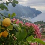 Luxury Tour from Positano to Pompei Ravello Amalfi - FAQ