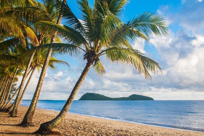Luxury Van, Private Transfer, Cairns Airport - Palm Cove. - Who Is This Transfer Best For?