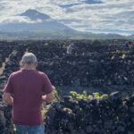 Luxury Wine Tasting at the Czar Pico Winery - The Itinerary