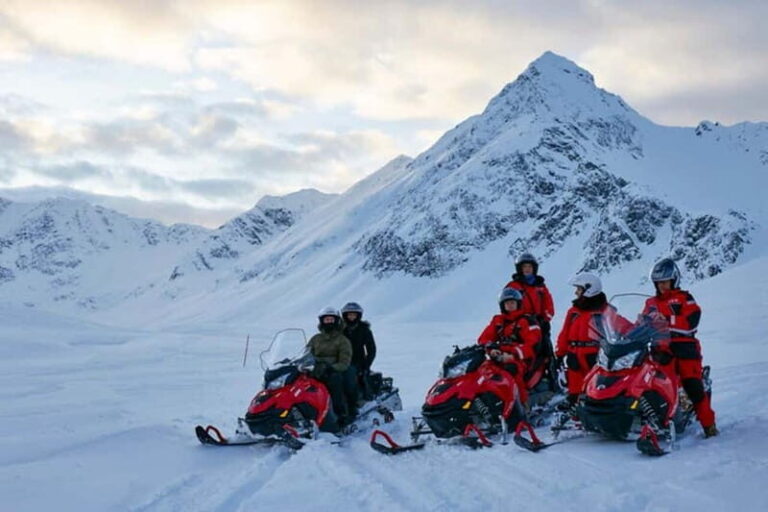 Lyngen Alps: Snowmobile Safari in the Arctic Wilderness - Additional Insights from Travelers