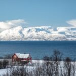 Lyngen: Snowmobile Safari with Lunch in seaside Restaurant - An In-Depth Look at What to Expect