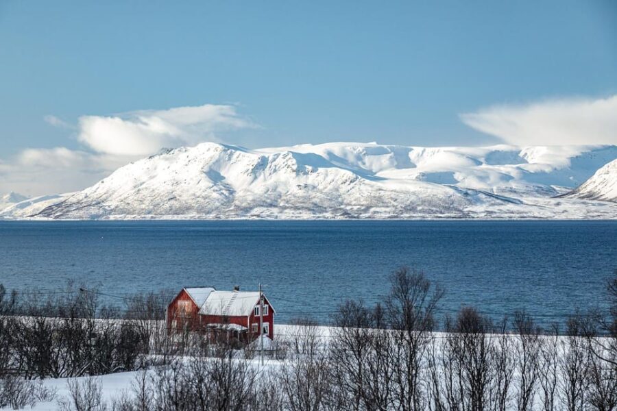 Lyngen: Snowmobile Safari with Lunch in seaside Restaurant - An In-Depth Look at What to Expect