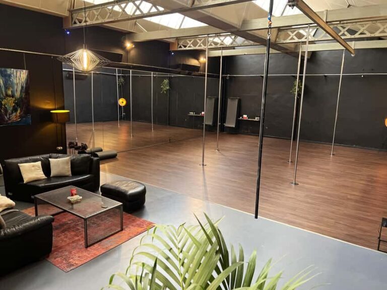 Lyon: Introduction to Pole Dancing in a Group - Value and Practicality