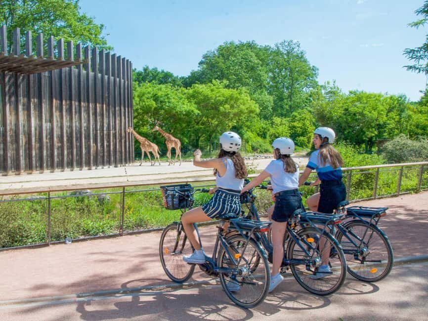 Lyon: Rent an electric bike for 2 hours - What Riders Say