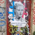Lyon: Street Art in the Croix Rousse district - The Art & Techniques