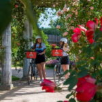 Lyon's must-sees by electric bike - An In-Depth Look at Lyon’s Electric Bike Tour