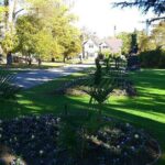 Lyttelton Cruise Excursions: Christchurch Sightseeing with Sheep Farm - The Sum Up