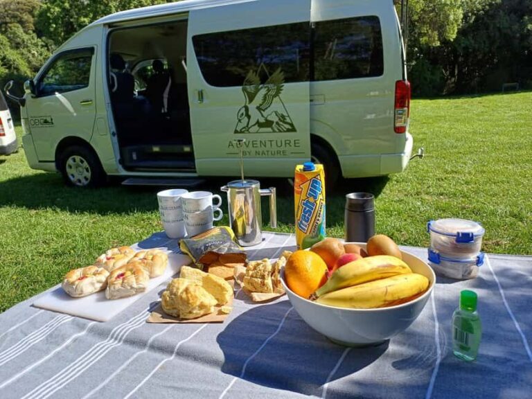 Lyttelton: Shore Excursion, Castle Hill & Inland Canterbury - Return Journey and Final Stops