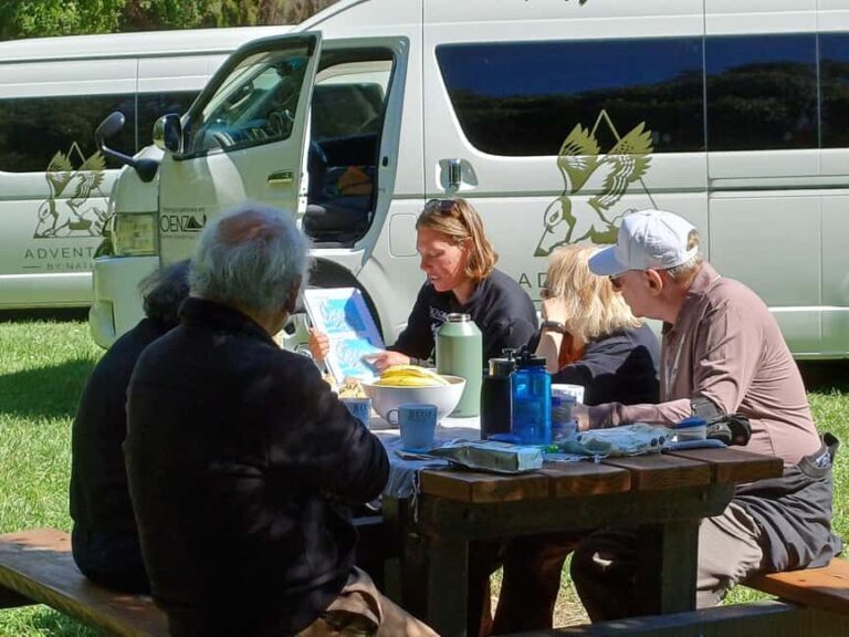 Lyttelton: Shore Excursion, Caving & Castle Hill Rocks - The Value of This Tour