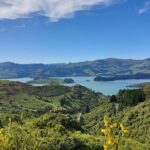 Lyttelton Shore Excursion: Christchurch & Willowbank Tour - Who Will Find This Tour Most Valuable?