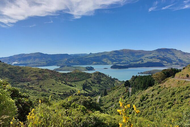 Lyttelton Shore Excursion: Christchurch & Willowbank Tour - Who Will Find This Tour Most Valuable?