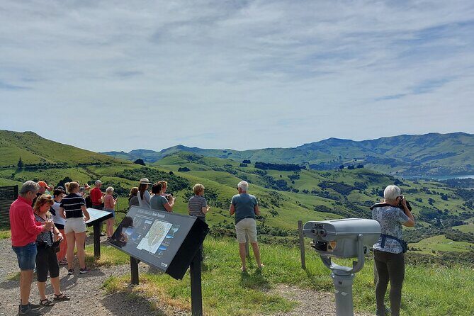 Lyttelton Shore Excursion: Twin Harbour Tour (Lyttelton & Akaroa) - The Itinerary: A Day of Scenic Highlights and Marine Encounters