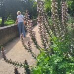 Maastricht Hidden Gems Tour Uncover the Unexpected - What You Can Expect on the Tour