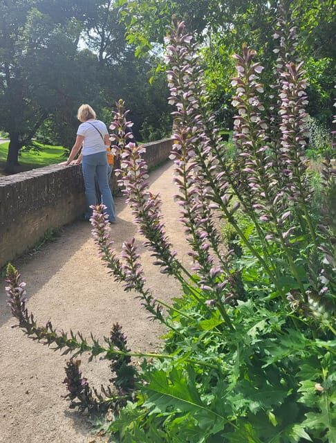 Maastricht Hidden Gems Tour Uncover the Unexpected - What You Can Expect on the Tour